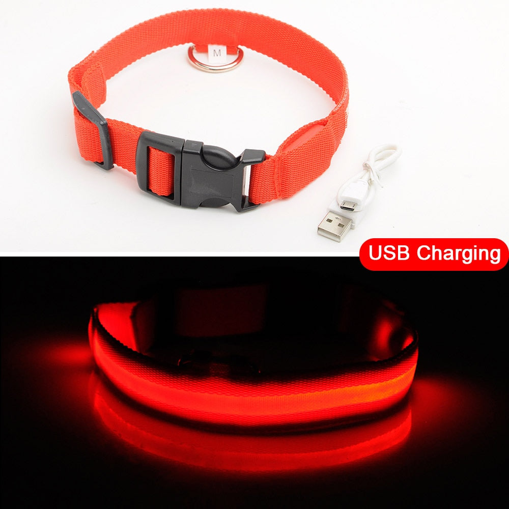 Light Up Dog Collar - Flashing Dog Collar