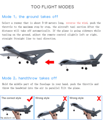 RC Plane | Remote Control Plane Predator Z51
