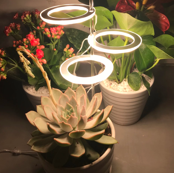 led-grow-lights