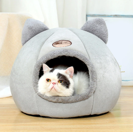 house-for-cats