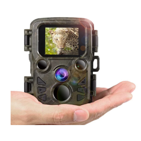 wildlife-camera