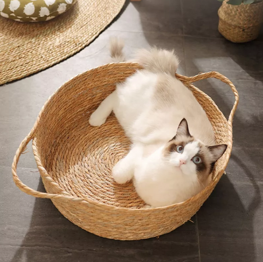 cat-bed-pets-at-home