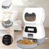 Image of cat-feeder-with-timer