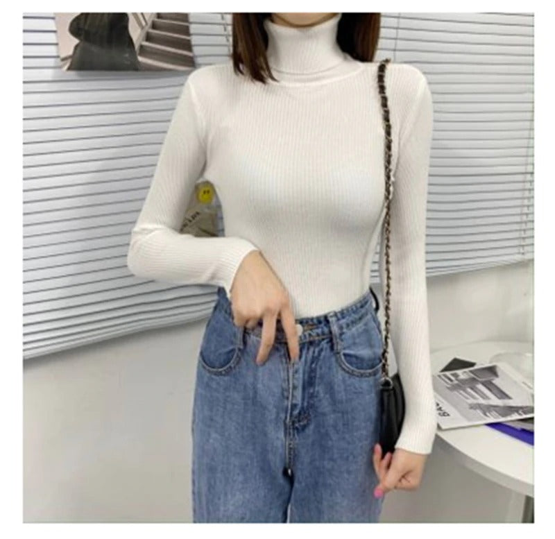 Polo Neck Jumper for Women