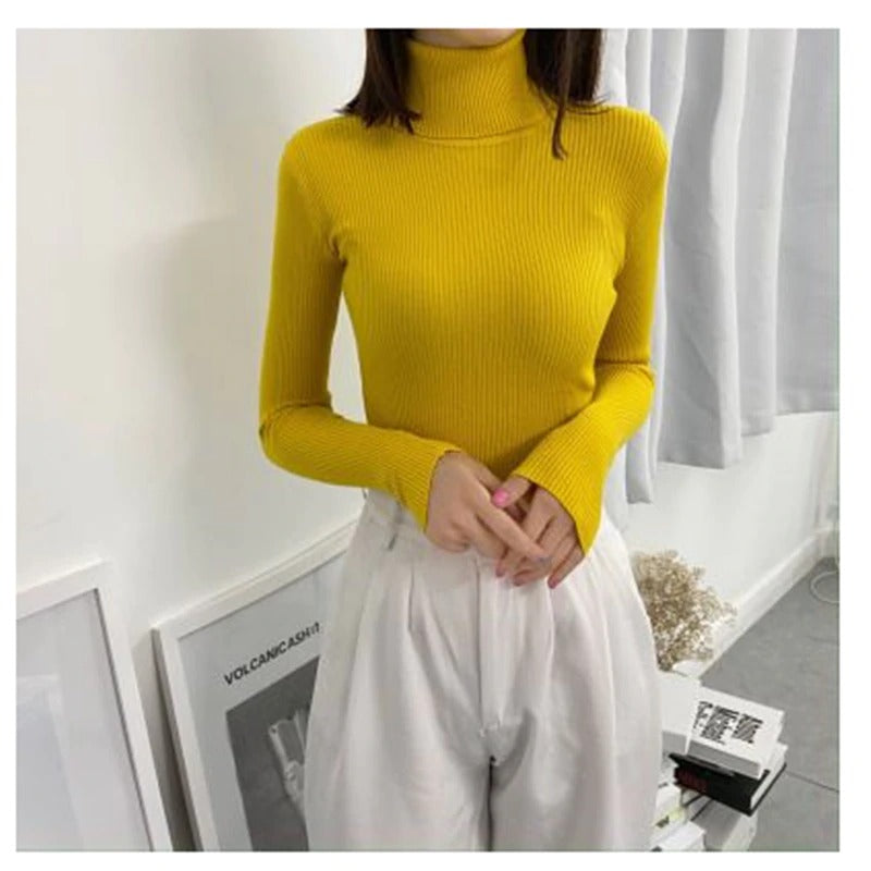 Polo Neck Jumper for Women