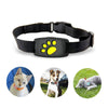 Image of Smart GPS Cat Collar