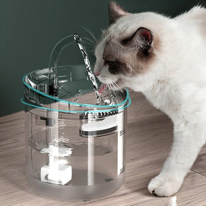 cat drinking fountain