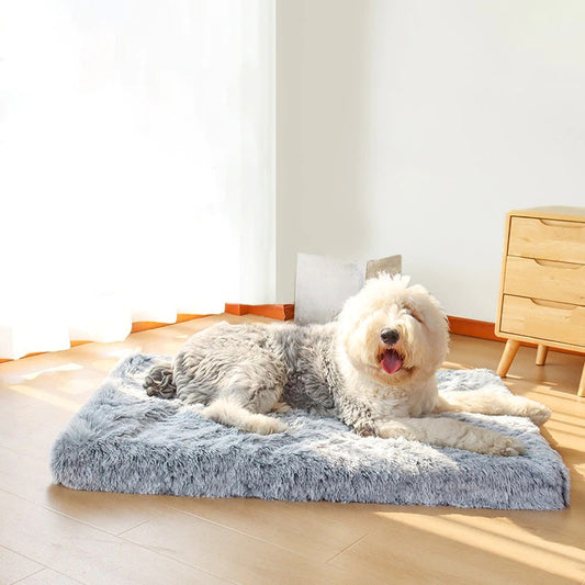 orthopedic pet mattress