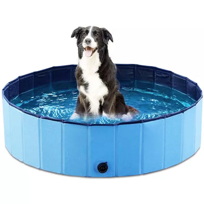 Pool-For Dogs-To-Swim