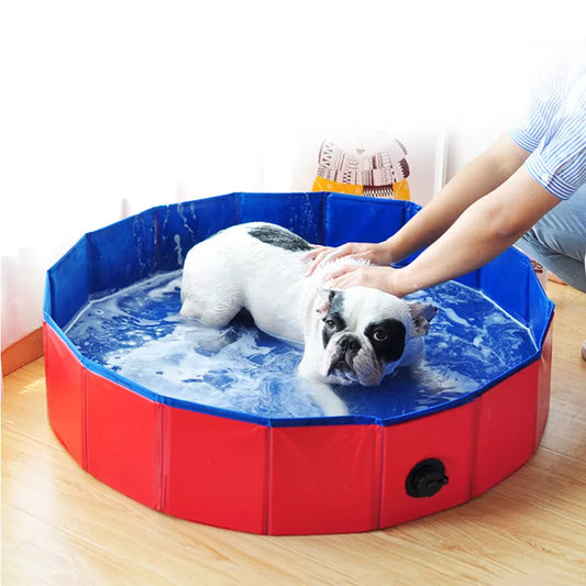 Pool-For-Dogs