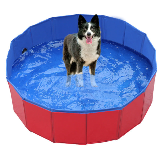 Doggie-Pool