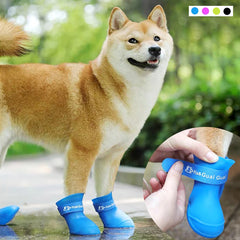 walking boots for dogs